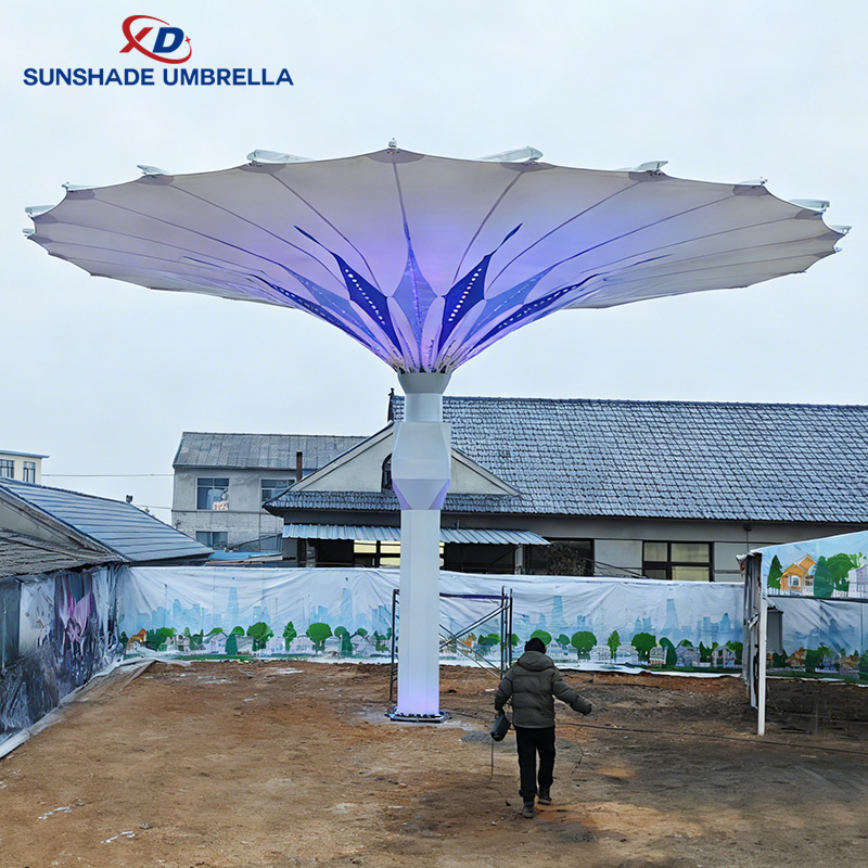 灵动开合，伞耀滨城