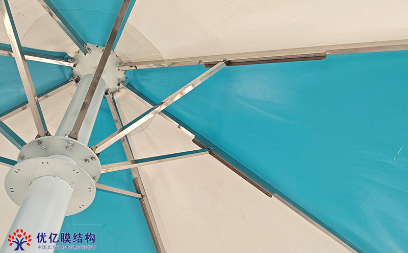 盛开在“黑色大海”里的遮阳伞